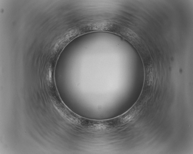 X0000057080310200509091254