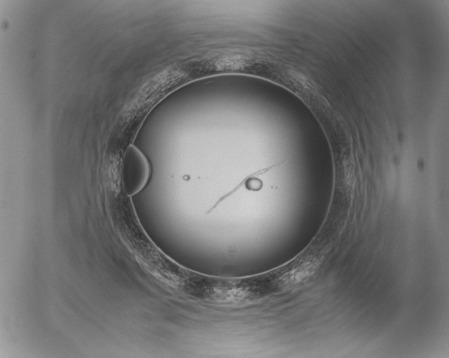 X0000057080311200509091254