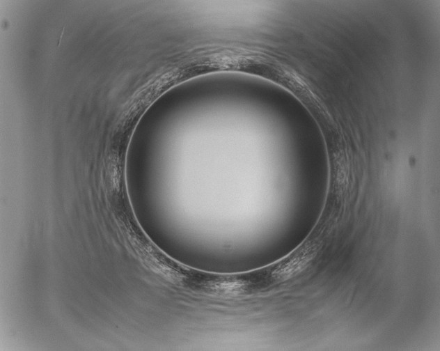 X0000057080313200509091254