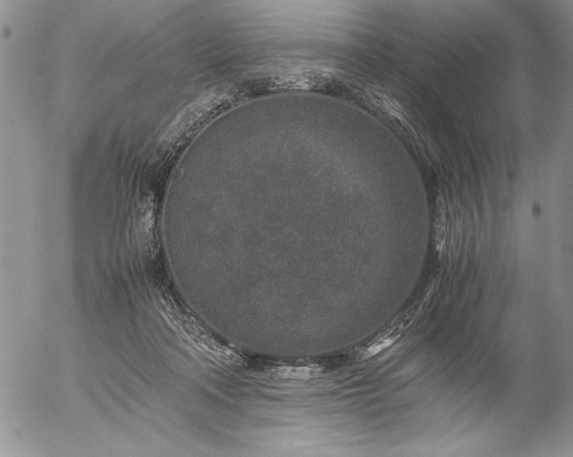 X0000057080314200509091254