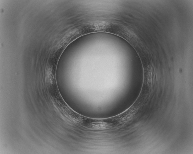 X0000057080316200509091254