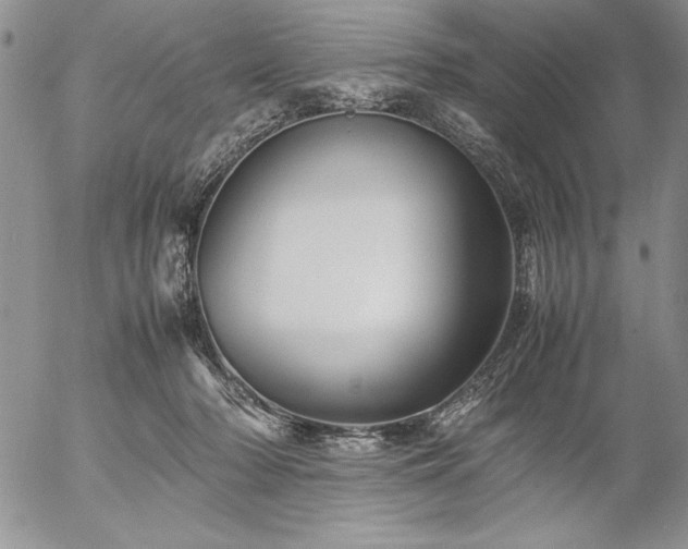 X0000057080318200509091254