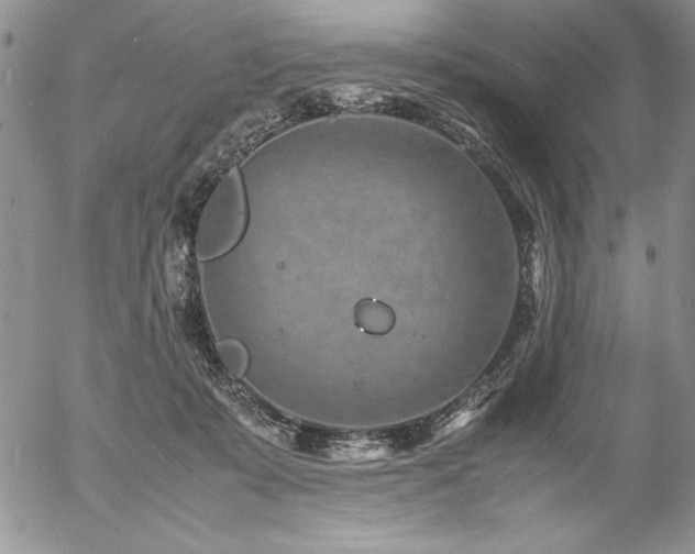 X0000057080319200509091254