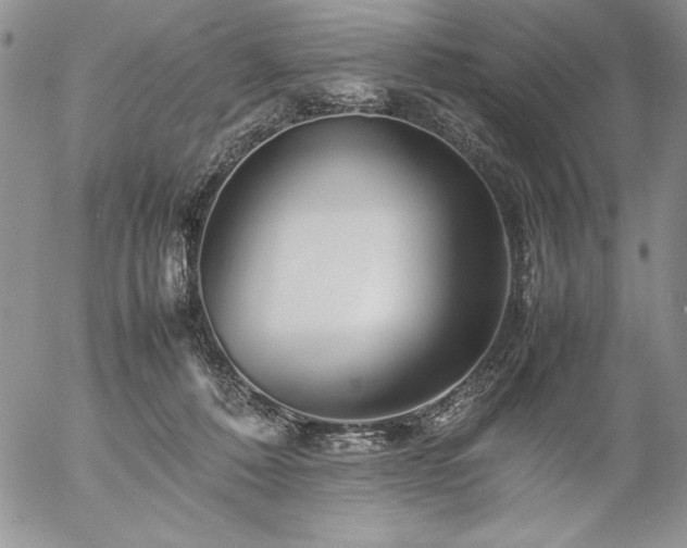 X0000057080320200509091254