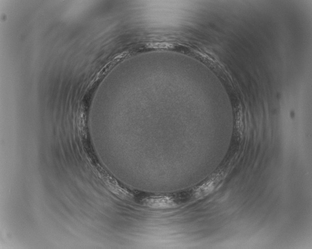 X0000057080322200509091254