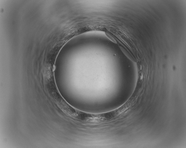 X0000057080323200509091254