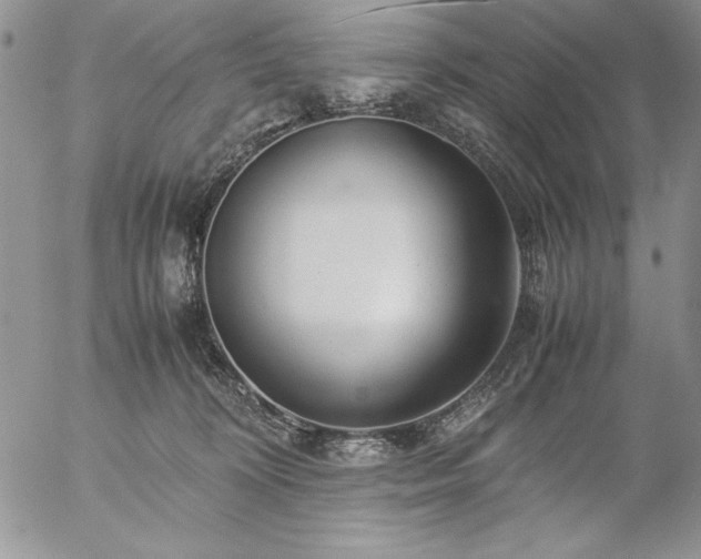 X0000057080324200509091254