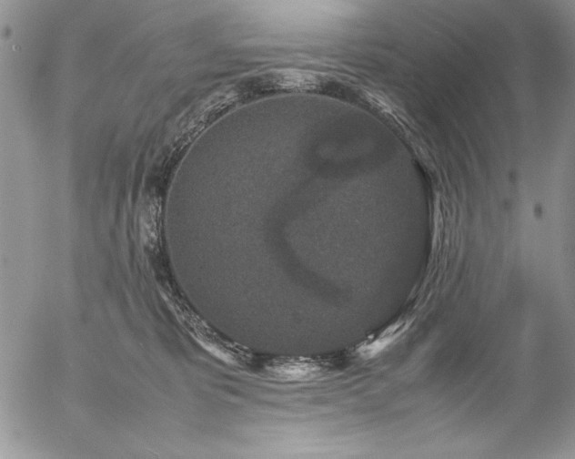 X0000057080325200509091254