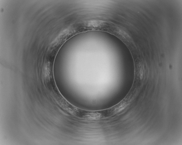 X0000057080328200509091254