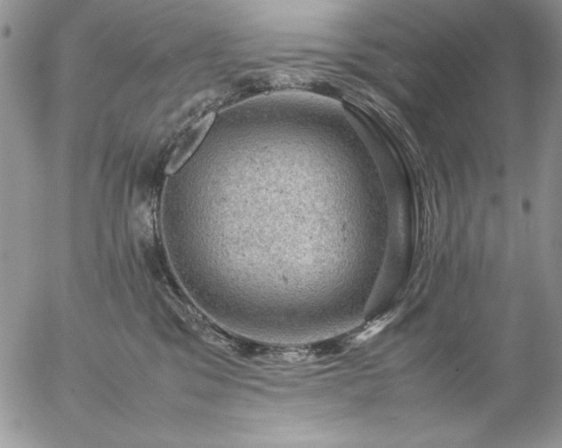 X0000057080329200509091254