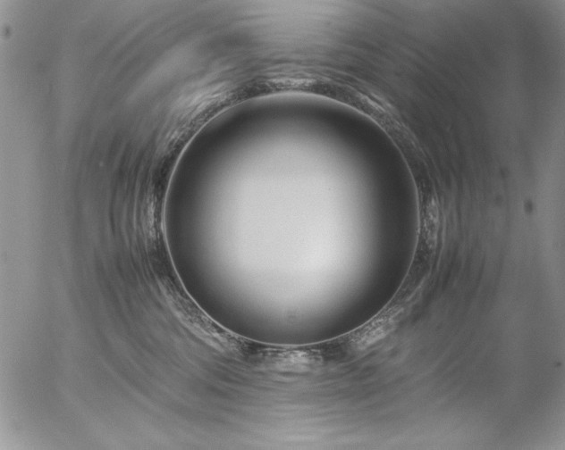 X0000057080330200509091254