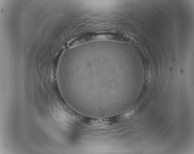 X0000057080331200509091254