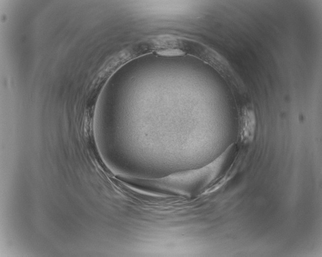 X0000057080333200509091254