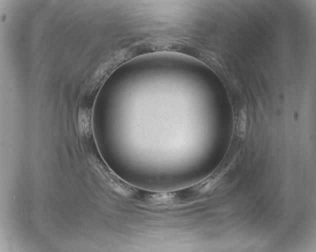 X0000057080335200509091254