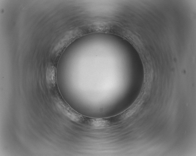 X0000057080336200509091254