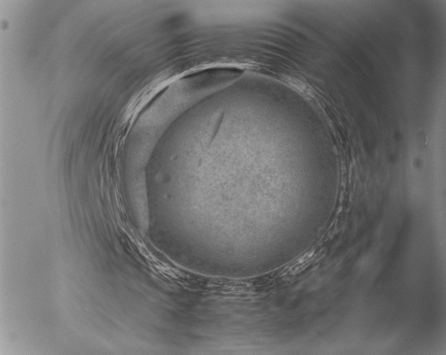 X0000057080337200509091253