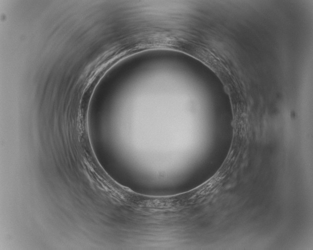 X0000057080338200509091253