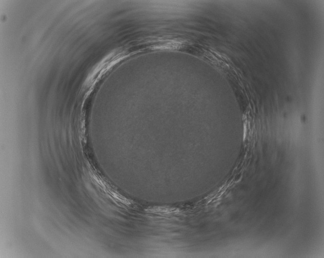 X0000057080339200509091253