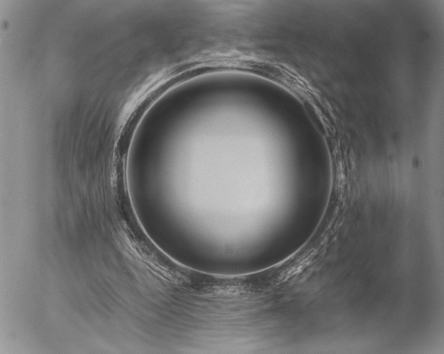 X0000057080344200509091253