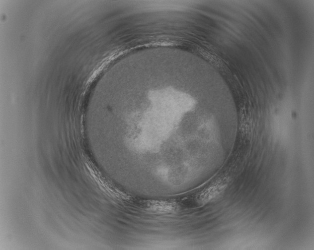 X0000057080347200509091253