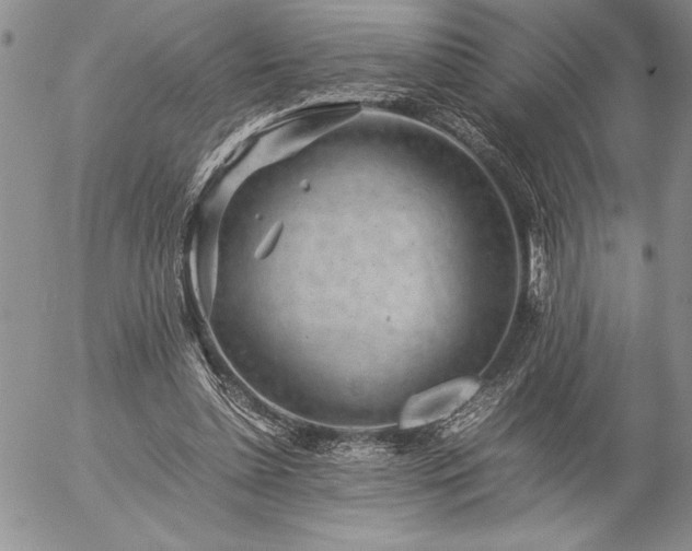 X0000057080348200509091253