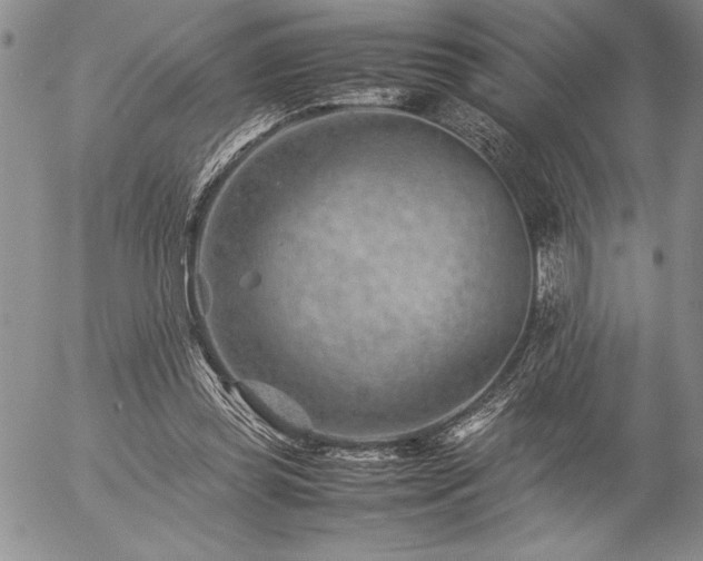 X0000057080349200509091253