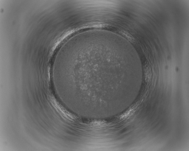 X0000057080350200509091253