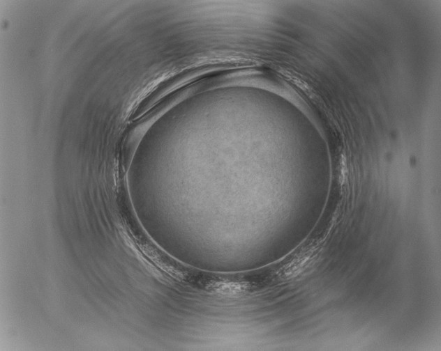 X0000057080352200509091253