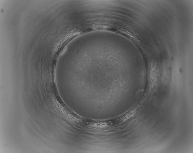 X0000057080353200509091253