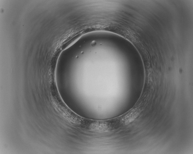 X0000057080354200509091254