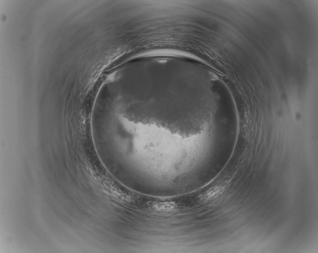 X0000057080355200509091254