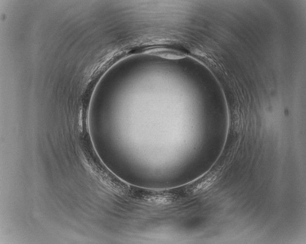 X0000057080358200509091254