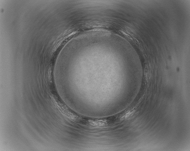 X0000057080359200509091254