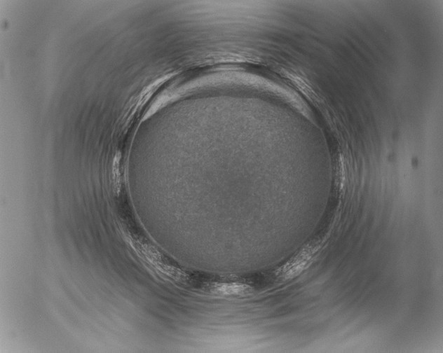 X0000057080360200509091254