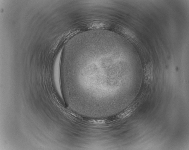 X0000057080361200509091254