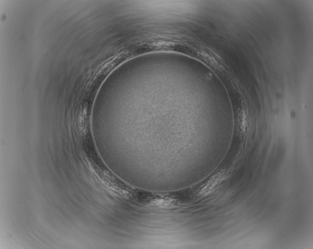 X0000057080364200509091254