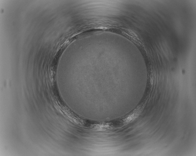 X0000057080366200509091254