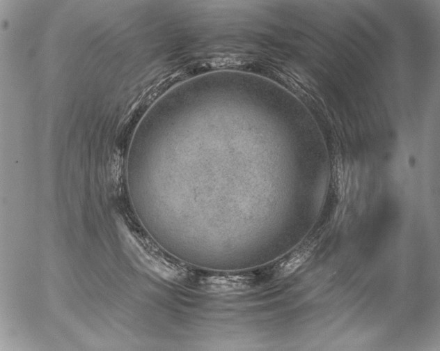 X0000057080367200509091254