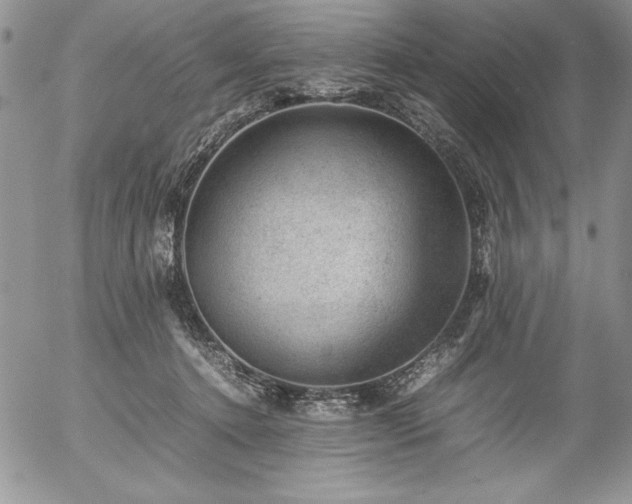 X0000057080368200509091254