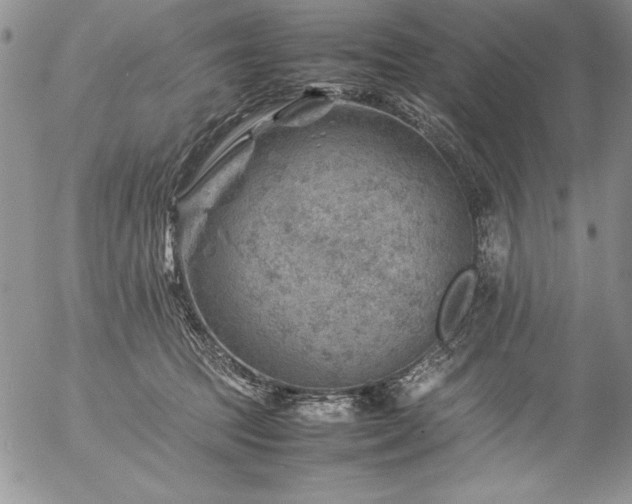 X0000057080369200509091254