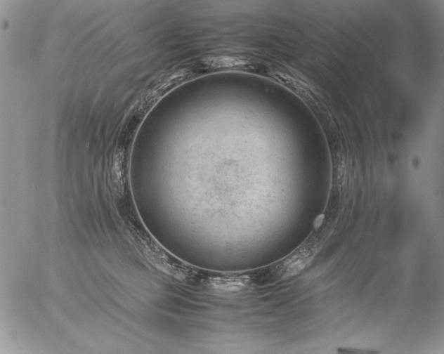 X0000057080373200509091254