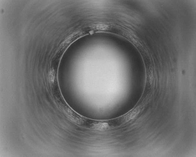 X0000057080374200509091254