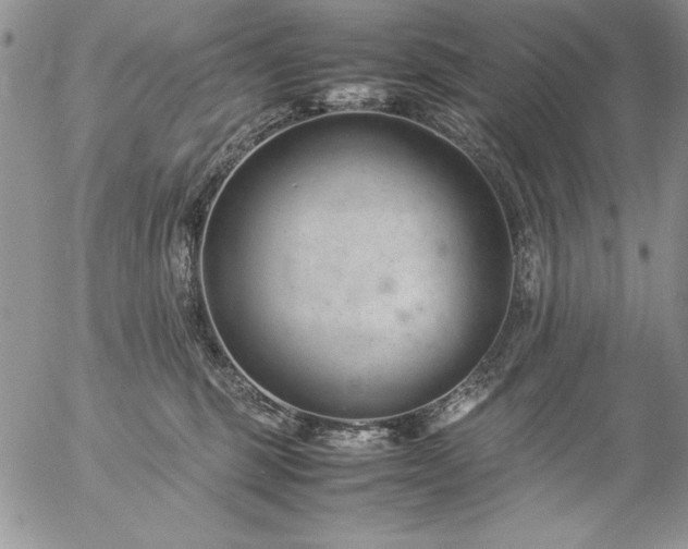 X0000057080375200509091254