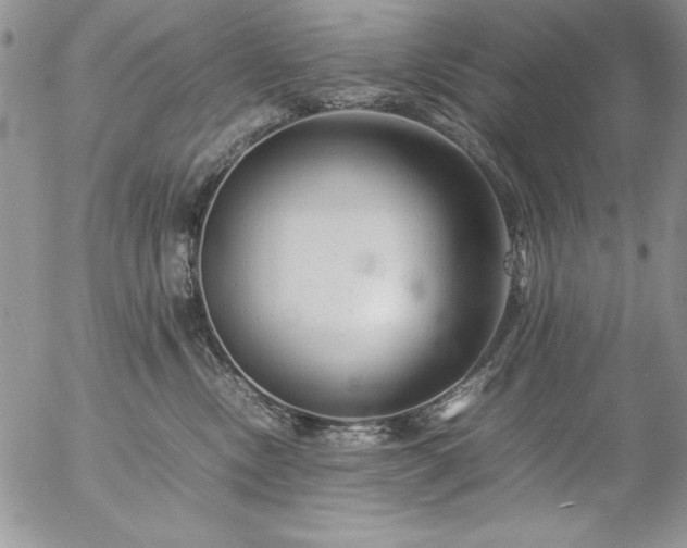 X0000057080378200509091254