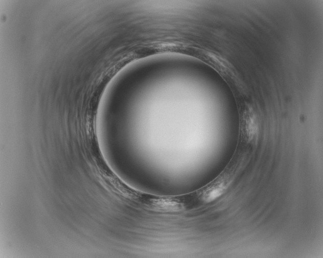 X0000057080380200509091254