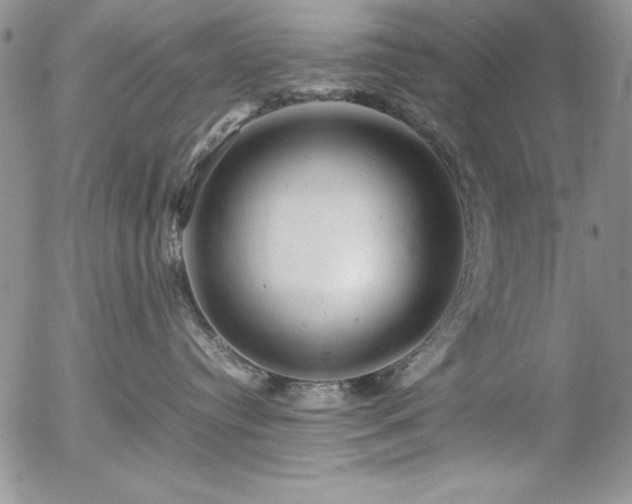 X0000057080384200509091254