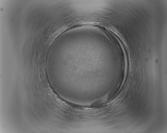 X0000057080385200509091253