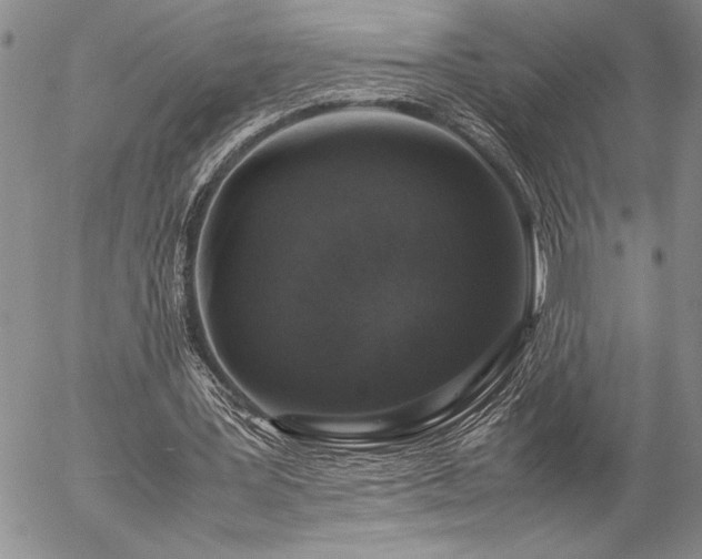 X0000057080387200509091253