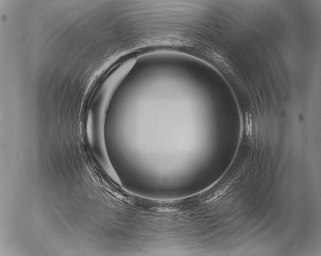 X0000057080388200509091253