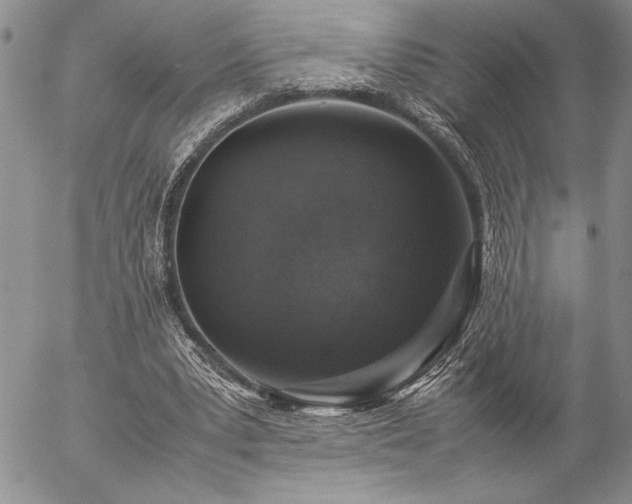 X0000057080391200509091253